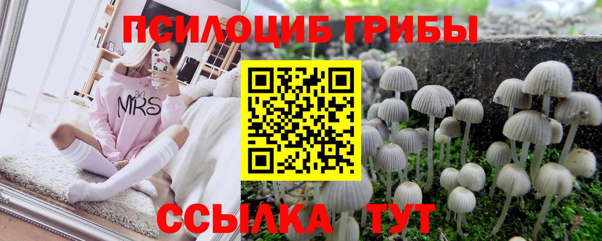 Новочебоксарск  Псилоцибиновые грибы Magic Shrooms  Галлюциногенные грибы мухоморы  Вход с VPN 