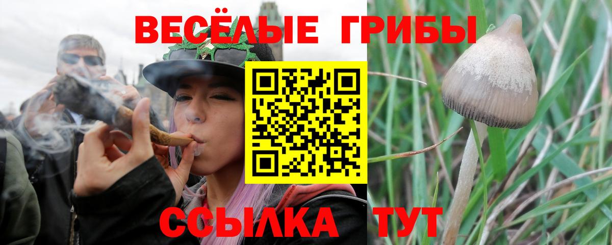 Галлюциногенные грибы Magic Shrooms Новочебоксарск